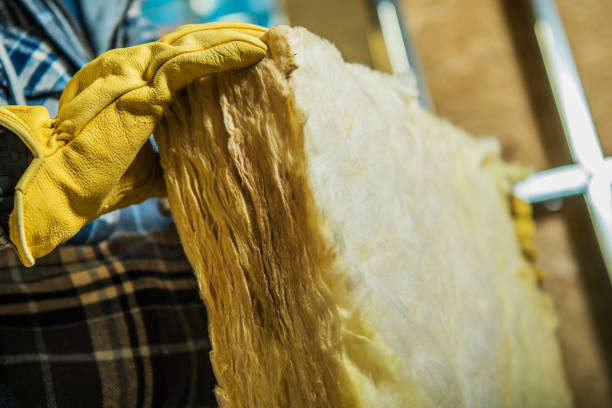 Best Insulation Maintenance and Repair in Eunice, LA